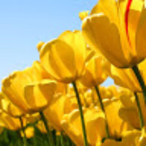 Meet your Posher, Lyndsey